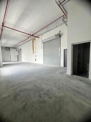 Ct Foodnex (D25), Factory #625868081